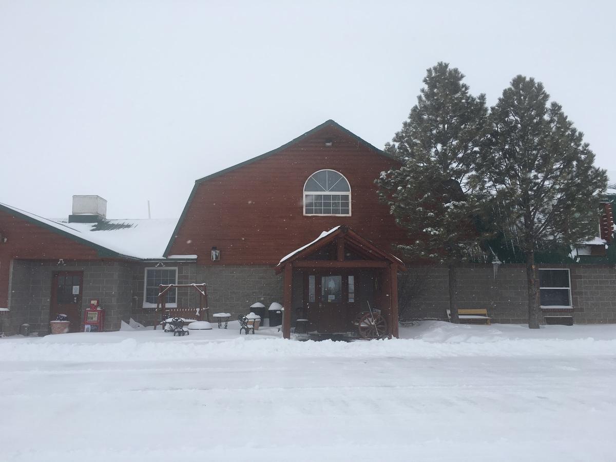 Buffalo Lodge Chugwater Ngoại thất bức ảnh